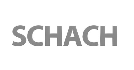 Schach, Spiel, Sport, Strategie, Konzentration, Schachmatt - silberne plakative 3D-Schrift, Freisteller, Rendering
