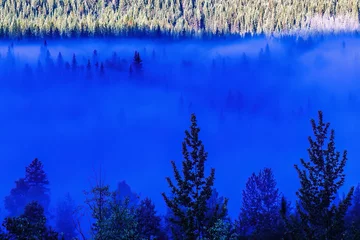 Fototapete Rund Mist in a forest valley with tree silhouettes © Lars Johansson