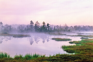 Morning fog by a lake on a bog in the wilderness