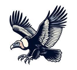 Andean Condor Hand Drawn Illustration vector graphic asset