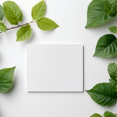 mockup on white background of a white plastic card including small green leaf generative AI.