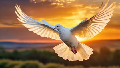 Dove against a Sunset Sky, symbol of Holy Spirit
