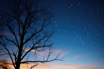 night sky with milky way and silhouette of trees