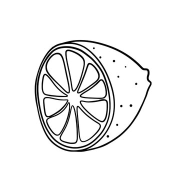 recommend clip art: Lemon citrus half fruit one line art drawing 