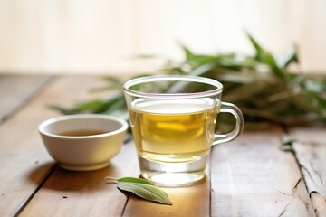 Obraz na płótnie Canvas glass cup with steaming sage tea, fresh sage leaves on the side