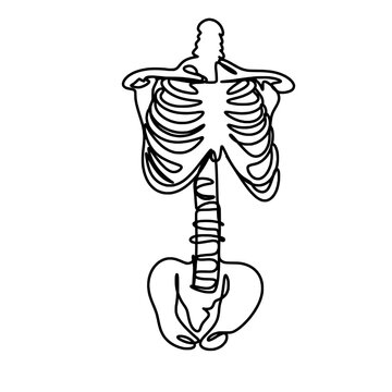 recommend clip art: Human skeleton line art