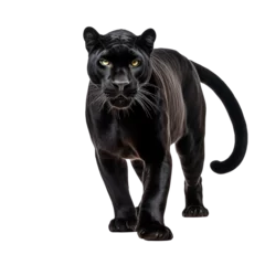 Tuinposter Panther clip art © Alexander