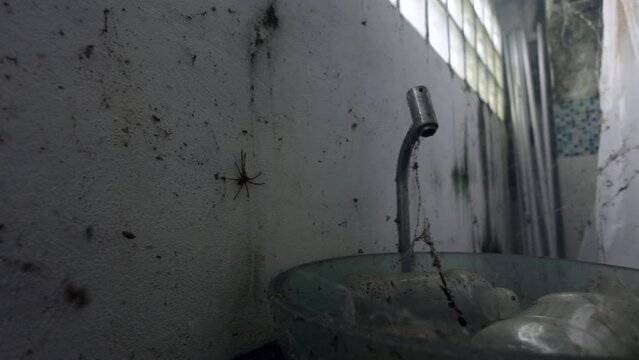 Film of a long abandoned house - creepy - camera follows a moving spider on the wall with cob web surrounding the sink