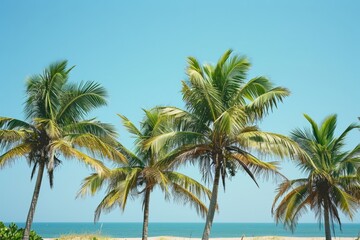 Fototapeta na wymiar Tropical beach scene with lush palm trees against a clear blue sky.
