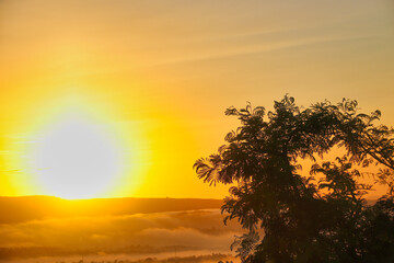 sunrise with a tree in the mountains