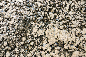 Concrete stone texture on the wall
