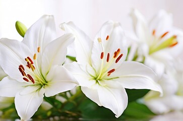 Gentle Elegance: Beautiful White Lilies on a Light Background, a Symbol of Grace and Serenity. Generative AI.