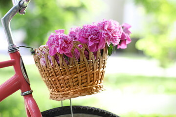 Vintage bicycle with basket with peony flowers