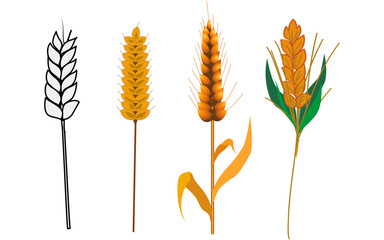wheat graphics Agricultural business and food production for consumption