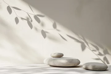 Papier Peint photo Lavable Zen Minimalistic beige background with pebbles and foliage shadows on concrete wall. Modern mockup backdrop in neutral colors.