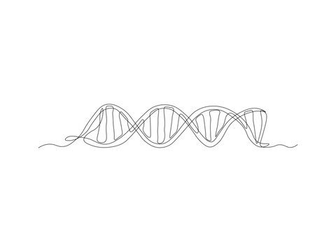 Abstract DNA molecule ,continuous single line art hand drawing sketch