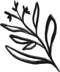 Flower and leaf botanical hand drawing art vector design, no background