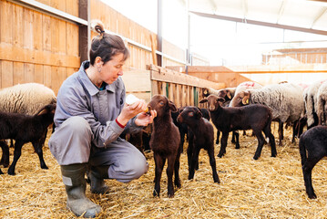 Woman feeding lamb with milk bottle in barn