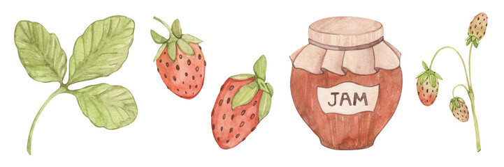Watercolor strawberry illustration set. Berries, part of a bush, leaves, a jar of jam. Hand drawn.