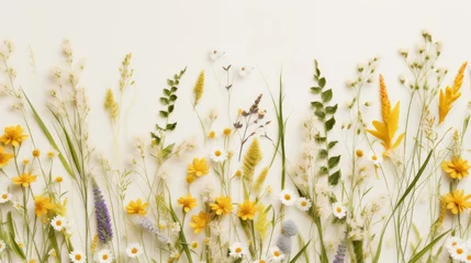 Fotobehang Flat lay of assorted wildflowers with vibrant colors on a white background. © tashechka