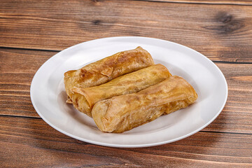 Traditional crispy fried stuffed springroll
