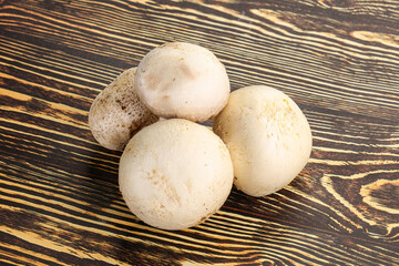 Natural organic ripe champignon mushrooms