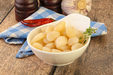 Raw scallop seafood in the bowl
