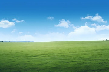 Fototapeta na wymiar Green Grass On A Vast Grassy Field, A Large Green Field With Blue Sky And Clouds