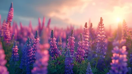 Fototapeten A field of wild lupines stretching to the horizon, their violet and blue hues creating a carpet of color beneath a clear sky.  © AI By Ibraheem