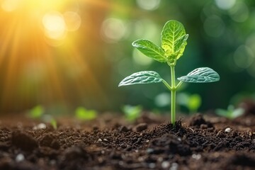 Sunlit Springtime: A New Leaf Emerges in the Soil Generative AI