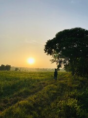 Fototapeta na wymiar silhouette of a person in a field
