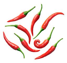 Set of red chili pepper isolated