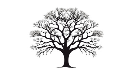 Tree silhouette cut out. Tree on transparent background.