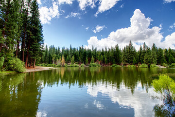 Reflektion des bewaldeten Ufers am Hume Lake im Sequoia und Kings Canyon National Park,...