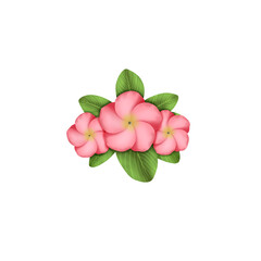 Pink flowers for decoration, invitation, and greeting card