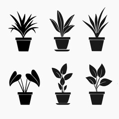 set of indoor ornamental plant icons. white background - obrazy, fototapety, plakaty