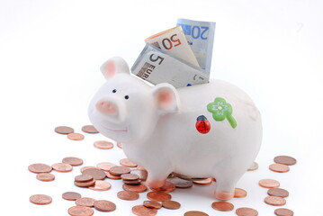 Pig coin box and euro, money.