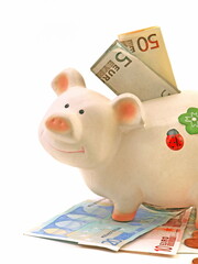 Pig coin box and euro, money. - 717670991