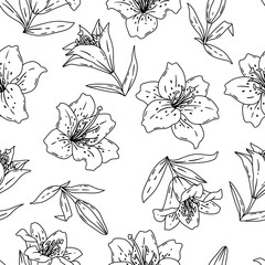 Pattern with lilies flowers. Beautiful decorative plants.