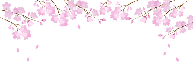 春、満開の桜の木のバナー背景