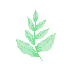 watercolor leaves isolated on white background