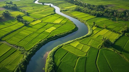 Top view of a winding river through lush green fields background.