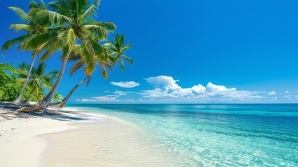Tropical beach with white sand, palm trees, and crystal clear water under a bright blue sky background.