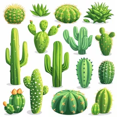 Fototapete Kaktus Set of cacti in pots