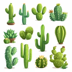 Deurstickers Cactus Variety of cacti