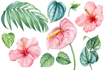 Palm leaf green plant, hibiscus flower, anthurium isolated background, watercolor clipart, floral design elements set - obrazy, fototapety, plakaty