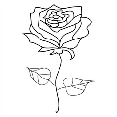 One Line Rose Flower Minimalism Drawing Vector Illustration Floral Art Design 