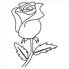 One Line Rose Flower Minimalism Drawing Vector Illustration Floral Art Design 