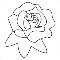 One Line Rose Flower Minimalism Drawing Vector Illustration Floral Art Design 