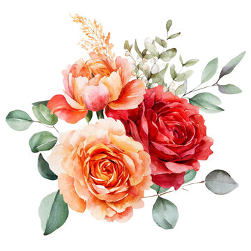 Watercolor floral illustration. Orange flowers eucalyptus greenery bouquet. Red roses, peach peony border, wreath, frame. Perfect for wedding invitation, stationary, greetings, fashion design